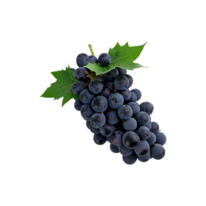 Grape Variety