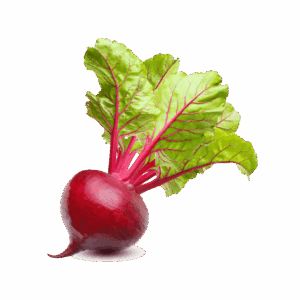 Fresh Beetroots