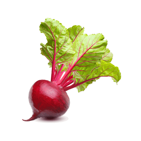 Fresh Beetroots