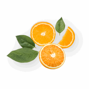 Universal Fruits