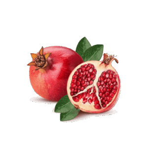 Chalisa Pomegranate