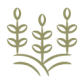 icon-1